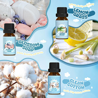 Lot d'huiles parfumées synthétiques de qualité supérieure en gros : Linge frais, Coton, Citronnelle, Poudre douce, Huile de savon florale pour diffuseur