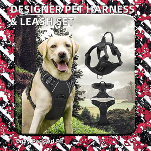 Luxury Designer Polyester Nylon Pet Dog Harness Leash Set Comfortable Warm Padded Stylish Sport Style Pet Supplies Custom Logo - Product Image 3