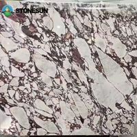 Carreaux de marbre blanc Calacatta Viola imperméables StoneSun OEM/ODM pour la décoration intérieure avec marbre et veines violettes pour marches d'escalier
