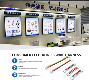 Пользовательские HY2.0 1-2 PCB кабельный жгут разъемы SAN2.0 клеммные провода PTFE ПВХ изоляционный материал для робота-пылесоса - Product Image 6