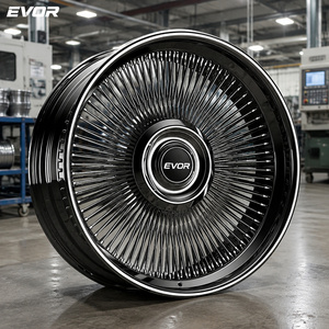EVOR 钢丝轮 20-26 英寸定制款黑色直辐条 - Product Image 1