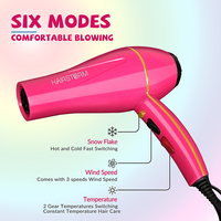 Prix de gros d'usine, sèche-cheveux personnalisé, souffleur ODM, machine à sécher les cheveux, sèche-cheveux professionnel de salon, moteur AC