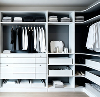 Armoire de luxe pour vêtements, organisateur de placard, nouveau design, panneau simple, armoire modulaire légère pour chambre à coucher, armoires d'angle prêtes à assembler