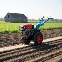 Mini-tracteur agricole diesel à prix abordable, tracteur à deux roues motrices, cultivateur rotatif, motoculteur