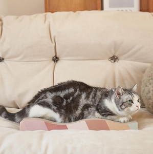 Nhà máy tùy chỉnh sang trọng cổ điển Paw 2 trong 1 scratcher Pads phong cách độc đáo cho mạnh mẽ ngăn ngừa mèo gãi đồ nội thất - Product Image 6