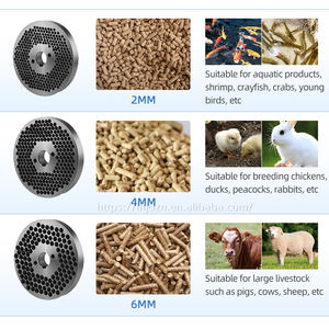 125Typ Vieh Geflügel futter Pellet herstellungs maschine 60 kg/std Tierfutter Granulator Motor Motor Home Use Manufac turing Plant - Product Image 4