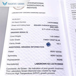 Tianyu Gems IGI 인증서 실험실 다이아몬드 1.03ct 멋진 딥 블루 스퀘어 쿠션 컷 다이아몬드 - Product Image 2