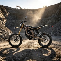 Moto tout-terrain électrique Surron Ultra Bee 2026 pour adultes, taille standard, 24,5 kW, 74 V, 60 Ah, respectueuse de l'environnement, prête à la compétition hors route