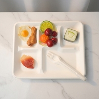 Assiettes jetables à 5 compartiments en bagasse écologique, avec support, pour fêtes