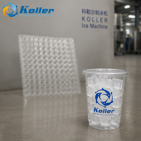 Machine à Glaçons Cubiques 20T pour Usine de Glace Usage Industriel Koller