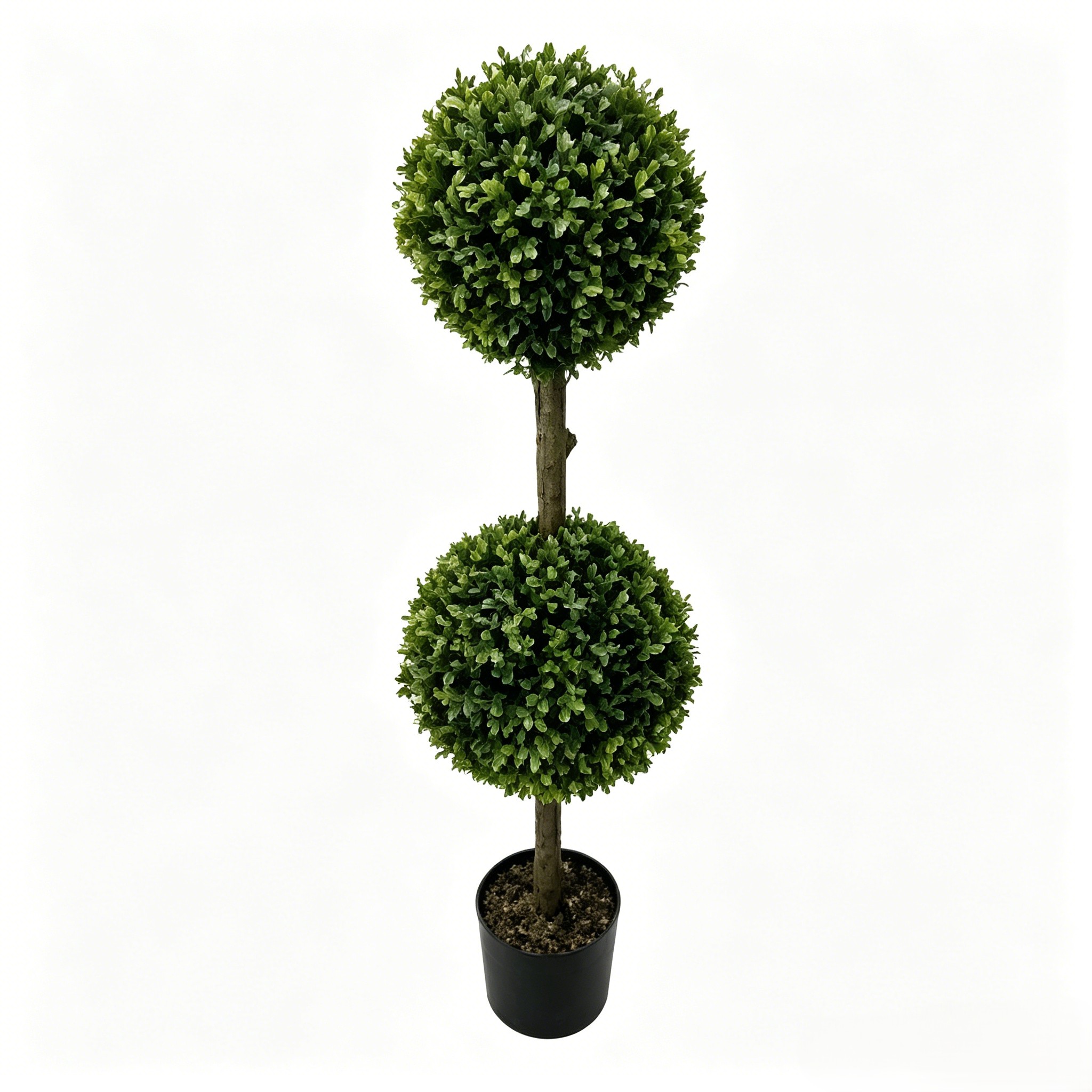 Vert