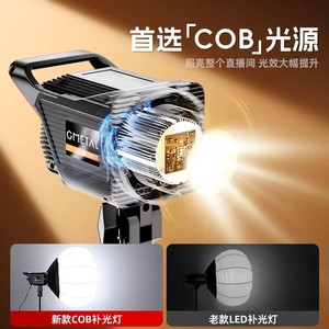 Professional Photography Lights 100W LED Three Color Adjustable Deep Polished Soft Light Spherical For Live Streaming Room - Product Image 4