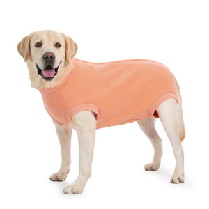 เสื้อโค้ทโพลีเอสเตอร์สำหรับสุนัขพันธุ์ใหญ่ (โกลเด้นรีทรีฟเวอร์ ลาบราดอร์) สำหรับฤดูใบไม้ร่วง/ฤดูหนาว แบบ OEM/ODM จำนวนมาก - ให้ความอบอุ่นและสบาย ดีไซน์คลาสสิก - Product Image 4