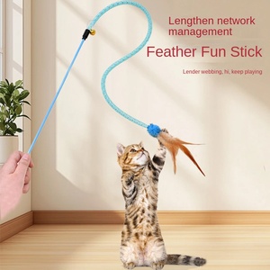 2025 nouveau jouet de chat d'exercice Rechargeable en plastique écologique année de <span class=keywords><strong>serpent</strong></span> bâton élastique maille Tube plume balle jouet interactif - Product Image 4