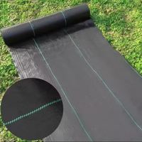 PP tissé barrière contre les mauvaises herbes PE couvre-sol maille tapis de mauvaises herbes rouleau anti-herbe désherbage tissu bloqueur paillis film