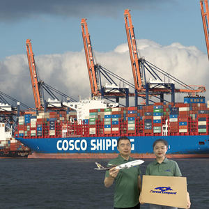 ग्वांगडोंग dp हमें दरवाजे की माल ढुलाई चीन के लिए चीन को आगे ले जाने - Product Image 4