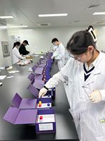 Kit ELISA pour le facteur neurotrophique dérivé du cerveau (BDNF) humain
