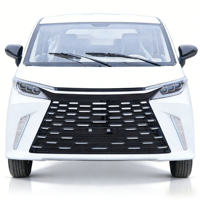 Véhicule électrique de luxe neuf avec 5 portes et 5 sièges, puissance de 3500 W, forte autonomie pour les voyages longue distance en famille, SUV