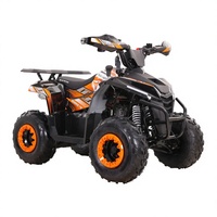 Quad Tao Motor 2027, nouveau modèle automatique avec transmission par chaîne inversée, roues de 7 pouces, certifié CE EPA, 110cc, pour enfants