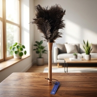 Brosse à poussière légère en plumes d'autruche, nettoyeur polyvalent pour surfaces domestiques, habitacle de voiture, PC et clavier