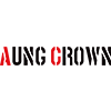 Shenzhen Aung Crown Industrial Ltd. logo