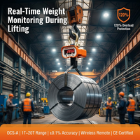 Balance de grue industrielle en alliage d'aluminium résistant à la corrosion, revêtement industriel, 10t, balance numérique suspendue légère, marine/port, OEM CE