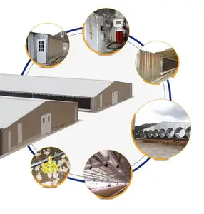 뜨거운 판매 조립식 레이어 치킨 하우스 강철 구조 자동 가금류 농장