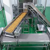 Machine de torréfaction automatique continue des cacahuètes avec convoyeur pour usine de transformation des noix et production de snacks