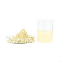 Poudre d'extrait de racine de Ligusticum Chuanxiong biologique pur, à haute teneur en triterpène, qualité alimentaire, certifiée Halal, sac de 1 kg / fût de 25 kg