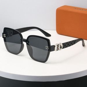 Lunettes <span class=keywords><strong>de</strong></span> <span class=keywords><strong>soleil</strong></span> <span class=keywords><strong>de</strong></span> luxe pour femmes, style vintage, nouvelle collection, grande monture, vente en gros 2026 - Product Image 3