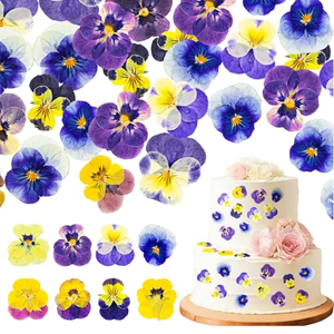 Matériaux pour boucles d'oreilles et bracelets <span class=keywords><strong>DIY</strong></span> en résine, <span class=keywords><strong>fleurs</strong></span> <span class=keywords><strong>séchées</strong></span> véritables, <span class=keywords><strong>fleurs</strong></span> pressées, accessoires sur le thème de la forêt éthérée - Product Image 1