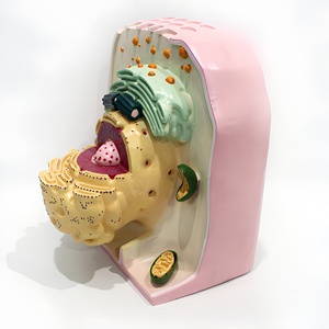 <span class=keywords><strong>Modelo</strong></span> de Enseñanza de Ultraestructura Celular Animal y Vegetal (Componente Único) - Product Image 2