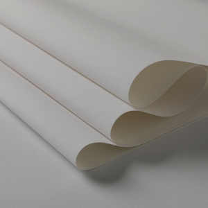 Rotolo di <span class=keywords><strong>tela</strong></span> opaca in misto poliestere e cotone impermeabile <span class=keywords><strong>per</strong></span> stampa digitale all'ingrosso - Product Image 6