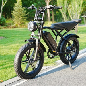 Bicicleta Eléctrica Híbrida <span class=keywords><strong>de</strong></span> 48V con Llantas Gruesas, Bicicleta Eléctrica <span class=keywords><strong>de</strong></span> Montaña, Bicicleta Eléctrica para Adultos - Product Image 2