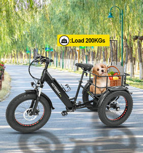 Tricycle électrique pour adultes 7 vitesses 20/24 pouces Ebike Cargo Trailer Fat Tire Electric Trike 3 Wheel Cruiser Electric Cargo Bike - Product Image 6