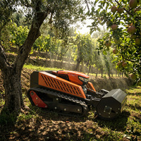 Broyeur à fléaux télécommandé diesel 4 temps 420cc de qualité industrielle pour applications agricoles