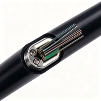 Cable de Fibra Óptica Armado de Tubo Suelto, Cable GYTS para Entierro Directo en Exteriores para Telecomunicaciones, FTTH y Proyectos de Tuberías