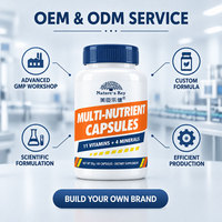 Capsules Multivitaminées et Multiminérales Personnalisées en Usine, 11 Vitamines, 4 Minéraux, Immunité, Énergie, Nutrition Quotidienne