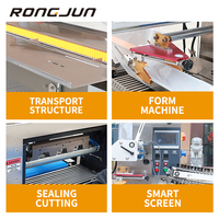 RJ500-Machine d'emballage en plastique de produits sanitaires de serviette de lingette humide d'oreiller de Offre Spéciale de F