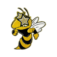 Patch brodé personnalisé en sequins et chenille, à thermocoller, pour vêtements, chapeaux, sacs, décoration artisanale DIY, vente en gros OEM