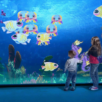 Mur interagir intérieur enfants jeux dessin mur interactif projecteur peinture mur pour enfants