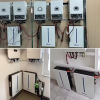 Deye RW-M6.1-B daya dinding Lifepo4 baterai 51.2v 120Ah 6,14kwh baterai Lithium untuk sistem surya hibrida