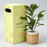 Boîtes d'emballage en carton personnalisées pour plantes vivantes en pot, naturelles ou artificielles