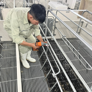Stainless Steel Farrowing <b>Crates</b> Top Sale Pigsty Farrowin Good Price Used Condition Made in Vietnam for Farms - Product Image 6