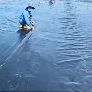 Bâches de <span class=keywords><strong>bassin</strong></span> / Géomembranes / Membranes plastiques PEHD, PEBD, LLDPE, PVC, <span class=keywords><strong>EPDM</strong></span> de 0,2 mm à 2,5 mm en vente - Product Image 2