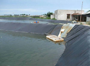 Geomembrane <span class=keywords><strong>HDPE</strong></span> แนะนำเป็นอย่างยิ่งสำหรับแผ่นฮีบและกองขยะ - Product Image 5