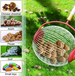 Recogedor de Nueces Portátil, Ligero y Compacto, Tipo Rodillo, Diseñado para la Temporada de Otoño y Picnics al Aire Libre, Estilo Moderno FP0207 - Product Image 4