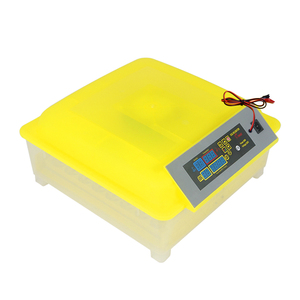 Incubadora <span class=keywords><strong>de</strong></span> <span class=keywords><strong>Huevos</strong></span> Automática <span class=keywords><strong>de</strong></span> Una Sola Potencia, Precio <span class=keywords><strong>de</strong></span> Fábrica en China, en Venta - Product Image 5
