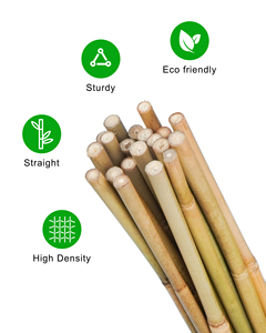 Stock US, livraison en 10 jours, 25 pièces de bâtons de <span class=keywords><strong>bambou</strong></span> naturel de 2 pieds piquets de jardin en bois pour tomates, haricots, fleurs, plantes grimpantes - Product Image 3