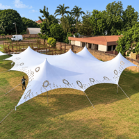 Tente à fromage avec auvent extensible perforé et poteaux en aluminium pour mariages, fêtes et événements en plein air